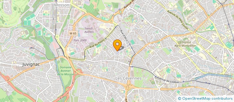 localisation de l'entreprise MONSIEUR MANUEL INACIO ROGEIRO DOS SANTOS à MONTPELLIER