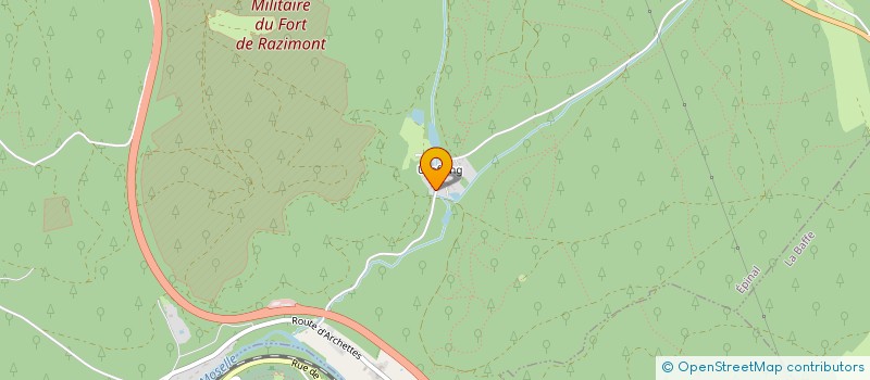 localisation de l'entreprise MONSIEUR MANUEL LICCIARDI  EPINAL