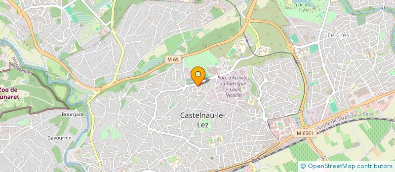 localisation de l'entreprise MONSIEUR MANUEL LOPEZ à CASTELNAU-LE-LEZ