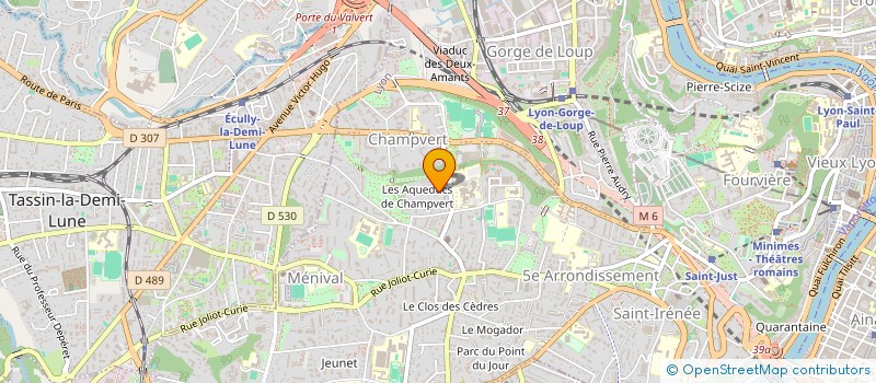 localisation de l'entreprise MONSIEUR MANUEL NICOLA à LYON