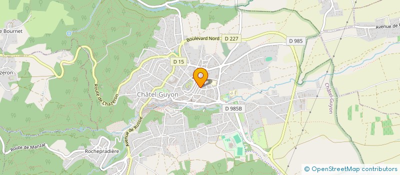 localisation de l'entreprise MONSIEUR MANUEL REYNARD  CHATEL-GUYON