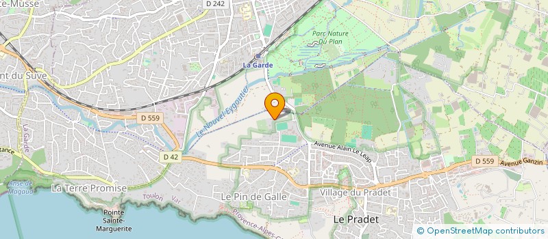 localisation de l'entreprise MONSIEUR MANUEL SAEZ  LE PRADET