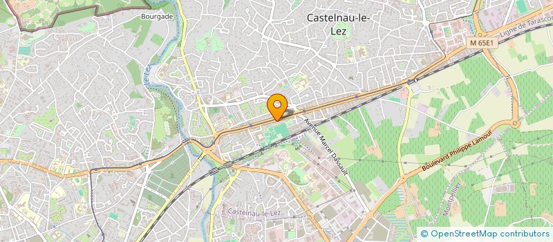 localisation de l'entreprise MONSIEUR MANUEL SALVADOR CARRILLO  CASTELNAU-LE-LEZ