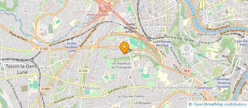 localisation de l'entreprise MONSIEUR MANUEL SEDENO à LYON