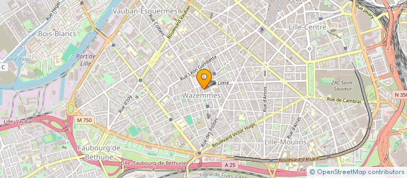 localisation de l'entreprise MONSIEUR MANUEL SEVILLA LOPEZ  LILLE