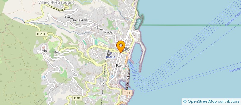 localisation de l'entreprise MONSIEUR MANUEL WALSPURGER à BASTIA