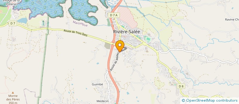 localisation de l'entreprise MONSIEUR MARC-ANDRE MEYEUR  RIVIERE-SALEE