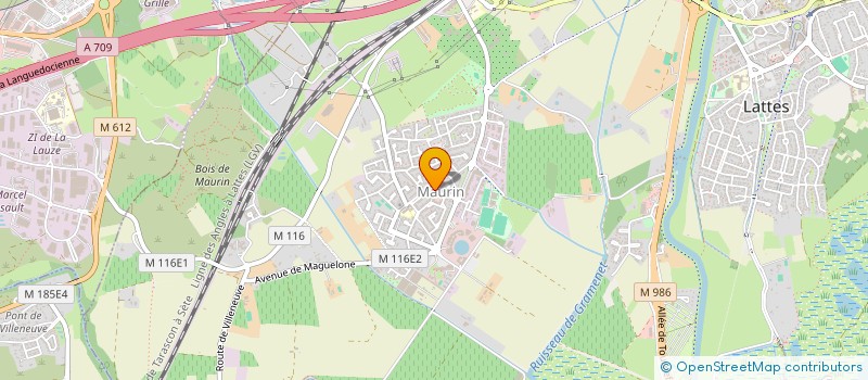 localisation de l'entreprise MONSIEUR MARC-ANTOINE TEIXEIRA VIEIRA COELHO  ROUJAN