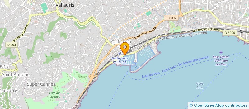 localisation de l'entreprise MONSIEUR MARC-ANTOINE VLLAHU  VALLAURIS