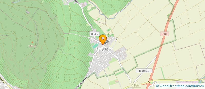 localisation de l'entreprise MONSIEUR MARC BURRER  BERGHOLTZ