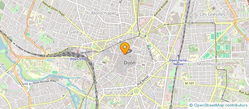 localisation de l'entreprise MONSIEUR MARC DE POORTER  DIJON