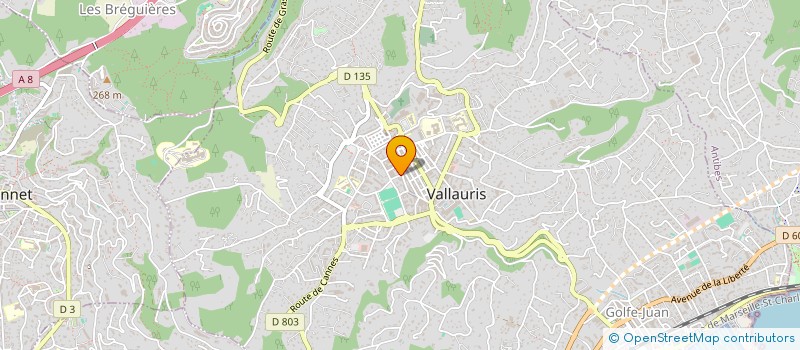 localisation de l'entreprise MONSIEUR MARC FLAGEUL à VALLAURIS
