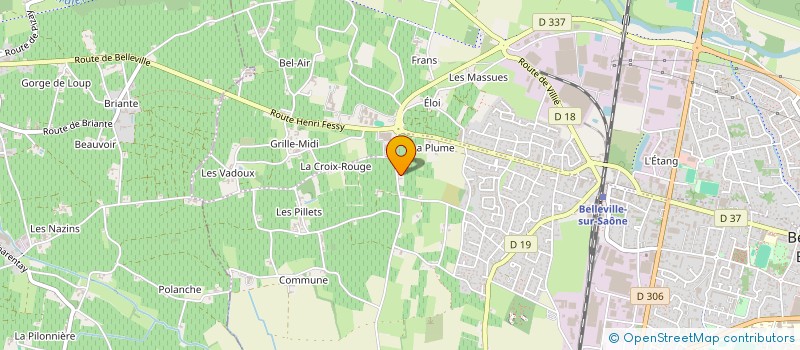 localisation de l'entreprise MONSIEUR MARC JULIEN  BELLEVILLE-EN-BEAUJOLAIS