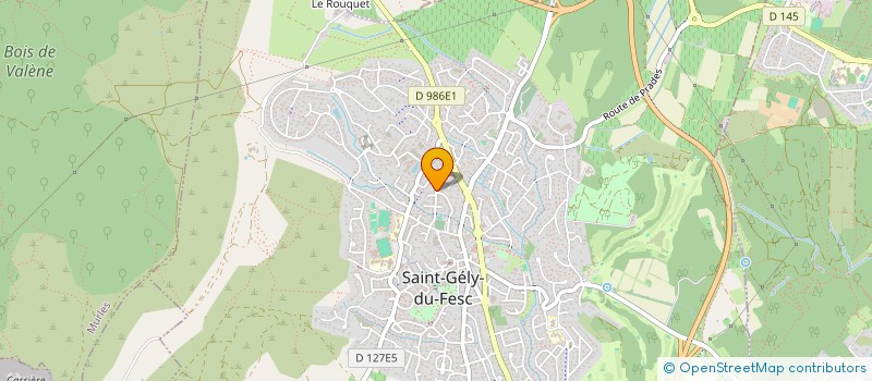 localisation de l'entreprise MONSIEUR MARC LEFEVRE  SAINT-GELY-DU-FESC