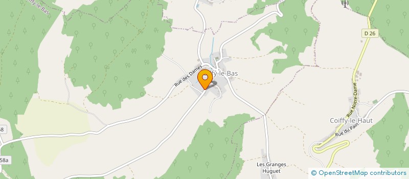 localisation de l'entreprise MONSIEUR MARC LETIZIA à COIFFY-LE-BAS
