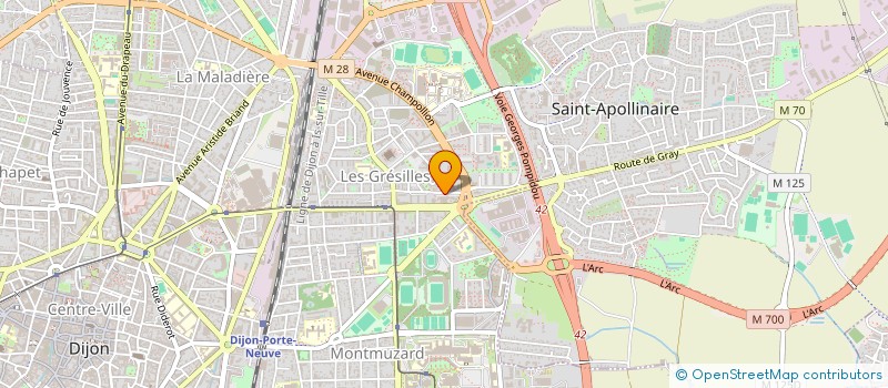 localisation de l'entreprise MONSIEUR MARC MANDOLFO à DIJON
