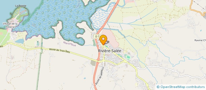 localisation de l'entreprise MONSIEUR MARC MOMPELAT  RIVIERE-SALEE