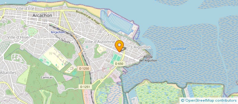 localisation de l'entreprise MONSIEUR MARC MONNEREAU  ARCACHON