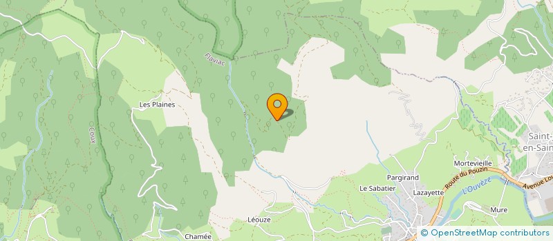 localisation de l'entreprise MONSIEUR MARC NELIS  FLAVIAC