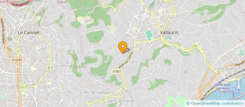 localisation de l'entreprise MONSIEUR MARC PALERMO  VALLAURIS