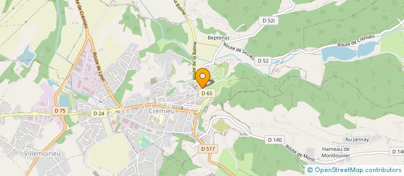 localisation de l'entreprise MONSIEUR MARC REYNAUD  CREMIEU