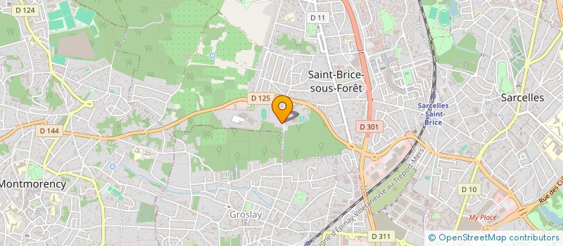 localisation de l'entreprise MONSIEUR MARC RICHARD  SAINT-BRICE-SOUS-FORET