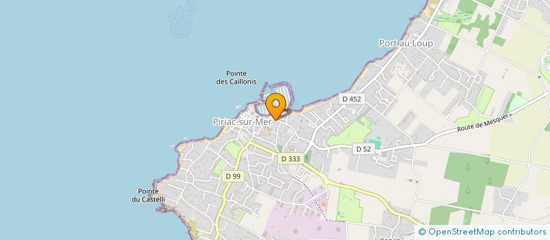 localisation de l'entreprise MONSIEUR MARC ROCHE  PIRIAC-SUR-MER