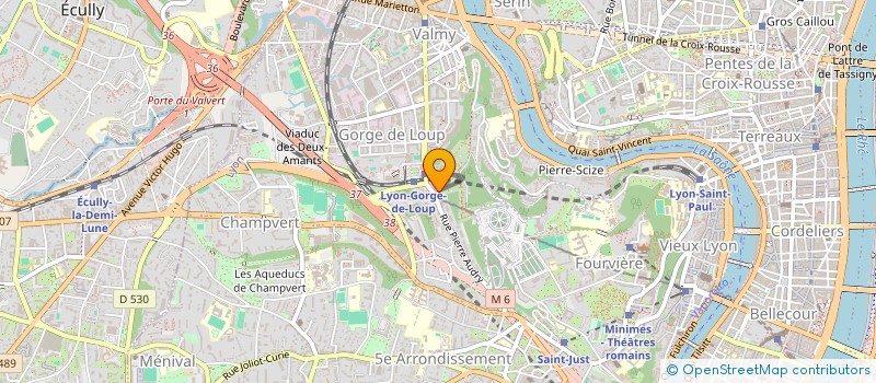 localisation de l'entreprise MONSIEUR MARC RUDERMANN à LYON