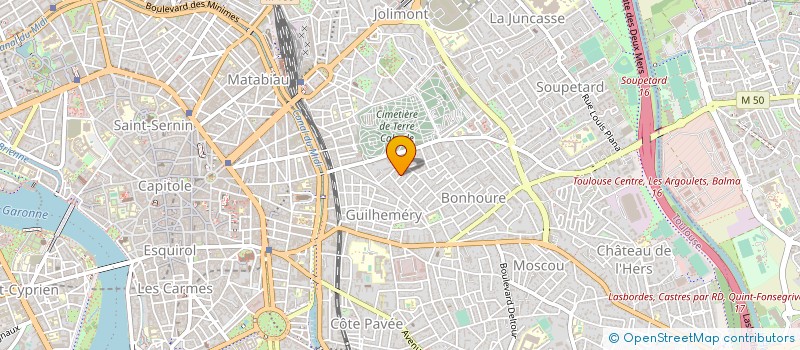 localisation de l'entreprise MONSIEUR MARC SANSON à TOULOUSE