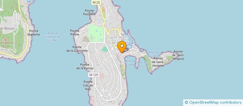localisation de l'entreprise MONSIEUR MARC TREVES à SAINT-JEAN-CAP-FERRAT
