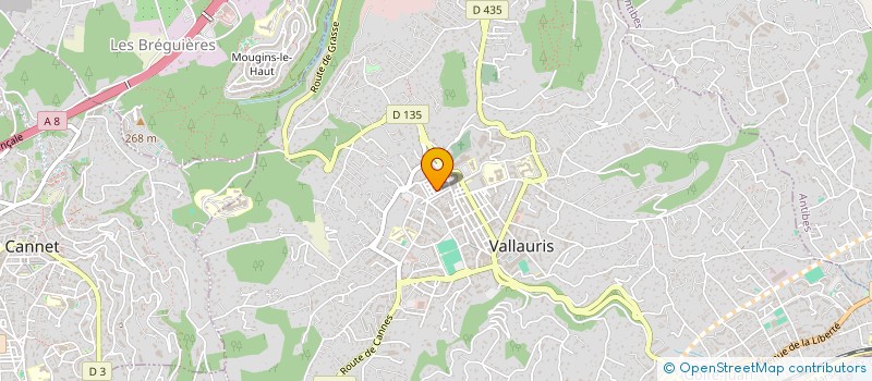 localisation de l'entreprise MONSIEUR MARC TRILLAT  VALLAURIS