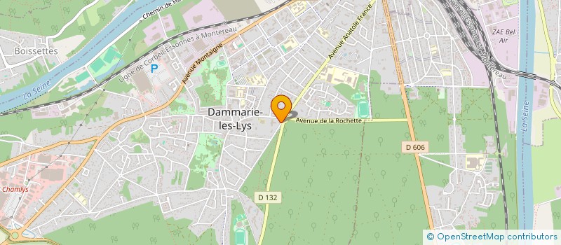 localisation de l'entreprise MONSIEUR MARC VASSEUR à DAMMARIE-LES-LYS