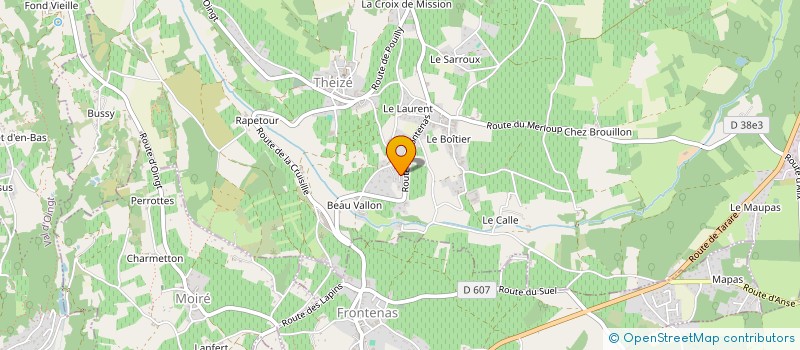 localisation de l'entreprise MONSIEUR MARCEL BONNEVIALLE  THEIZE