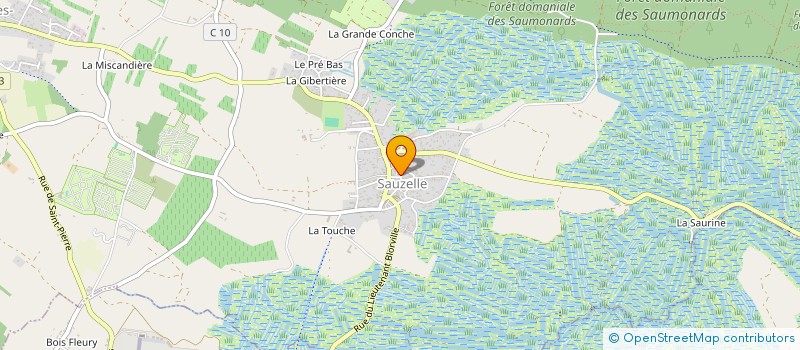 localisation de l'entreprise MONSIEUR MARCEL COUSSI à SAINT-GEORGES-D'OLERON