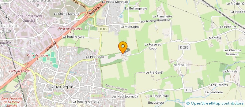 localisation de l'entreprise MONSIEUR MARCEL DAVID  CESSON-SEVIGNE