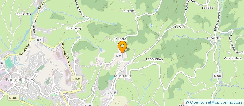 localisation de l'entreprise MONSIEUR MARCEL DEGOUTTE à THIZY-LES-BOURGS