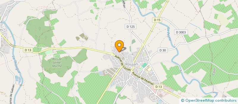 localisation de l'entreprise MONSIEUR MARCEL FERREIRA-MARQUES  ROUJAN