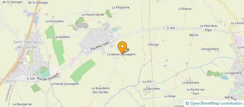 localisation de l'entreprise MONSIEUR MARCEL GIRARD  CHEMILLE-EN-ANJOU