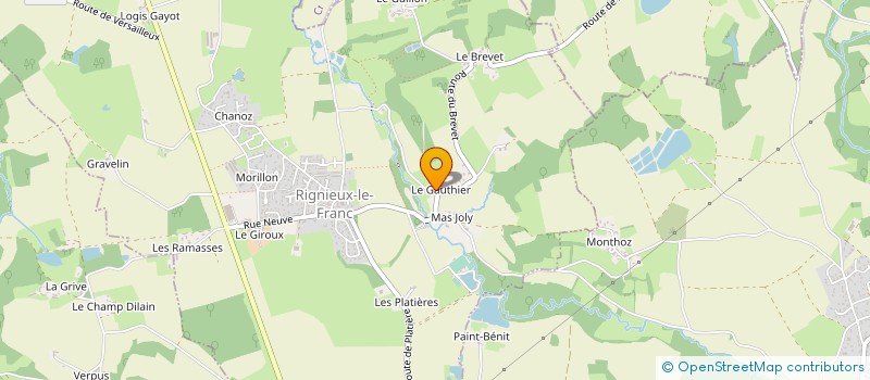 localisation de l'entreprise MONSIEUR MARCEL THOMAS  RIGNIEUX-LE-FRANC