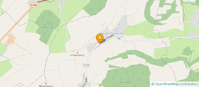 localisation de l'entreprise MONSIEUR MARCEL VENDETTI  HAUTE-VIGNEULLES