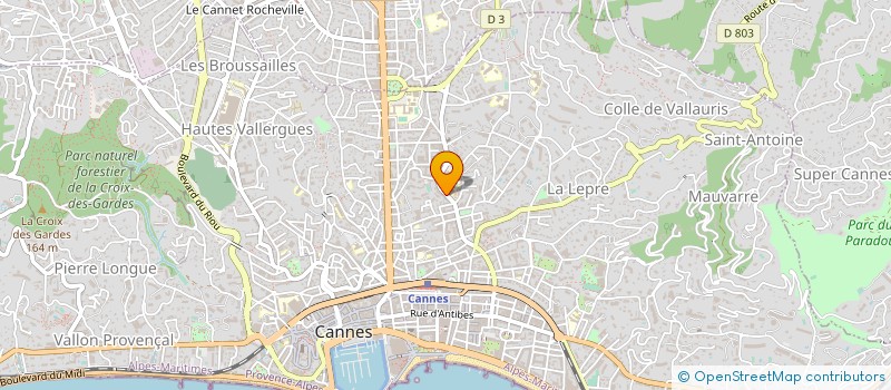 localisation de l'entreprise MONSIEUR MARCELINO FERNANDEZ BLASCO à CANNES