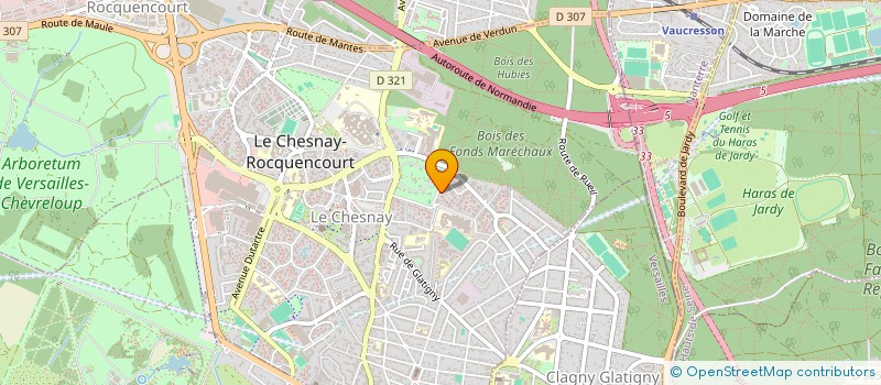 localisation de l'entreprise MONSIEUR MARCELINO SOKAJ  LE CHESNAY-ROCQUENCOURT