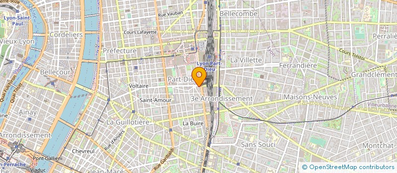 localisation de l'entreprise MONSIEUR MARCELLIN LEGER DELPHINE  LYON