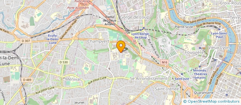 localisation de l'entreprise MONSIEUR MARCELO DOMINGOS RECEADO  LYON