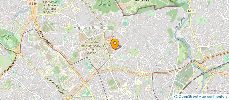 localisation de l'entreprise MONSIEUR MARCELO NATARIO MORAIS à MONTPELLIER