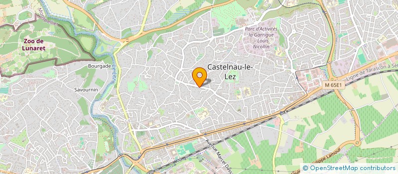 localisation de l'entreprise MONSIEUR MARGUERITE OLINK à CASTELNAU-LE-LEZ