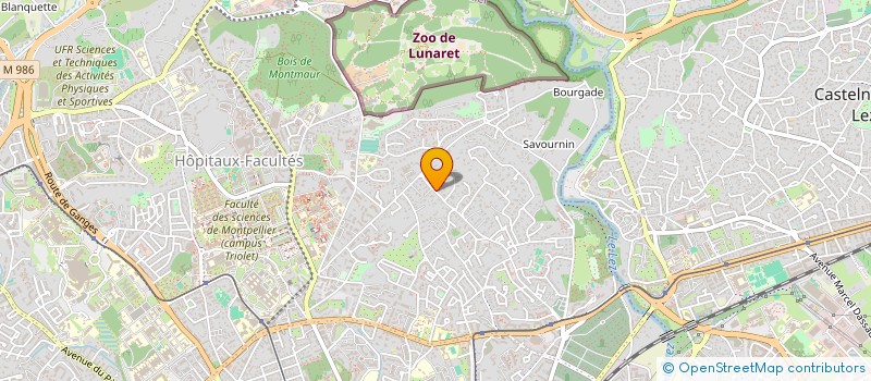 localisation de l'entreprise MONSIEUR MARIANO CRIMI à MONTPELLIER