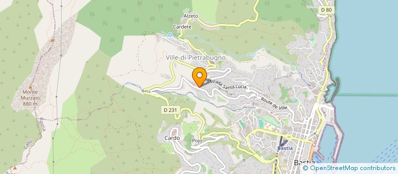 localisation de l'entreprise MONSIEUR MARIEN VANNINI-FILIPPI à VILLE-DI-PIETRABUGNO