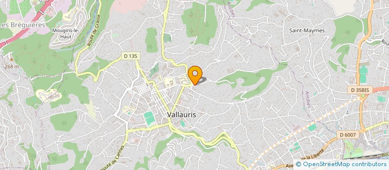 localisation de l'entreprise MONSIEUR MARIN MIHALAS  VALLAURIS