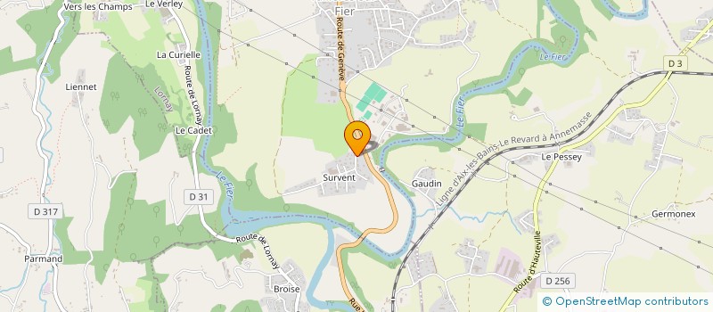 localisation de l'entreprise MONSIEUR MARINEL TIMOFTE  VALLIERES-SUR-FIER